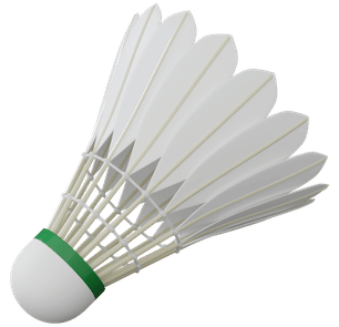 vera spor, spor ekipmanları, spor salonu ekipmanları, saha ekipmanları, basketbol potası, futbol kalesi, voleybol filesi, tenis ekipmanları, hentbol ekipmanları, badminton ekipmanları, suni çim, zemin kaplama, tel örgü aydınlatma sistemleri, tribün koltuğu, scoreboard, Ankara spor ekipmanları